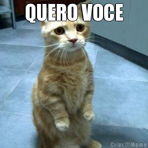 QUERO VOCE 