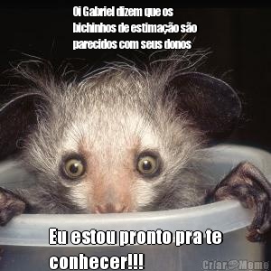 Oi Gabriel dizem que os
bichinhos de estima��o s�o
parecidos com seus donos Eu estou pronto pra te
conhecer!!!