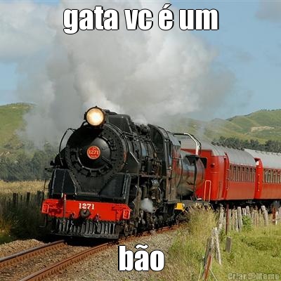 gata vc � um b�o