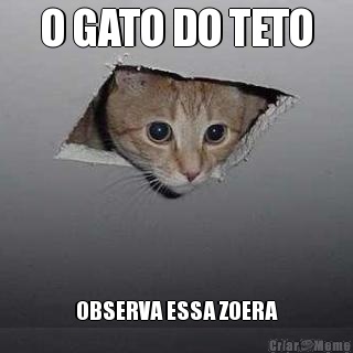 O GATO DO TETO OBSERVA ESSA ZOERA