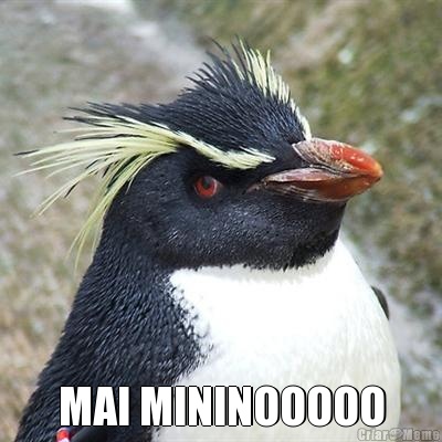  MAI MININOOOOO