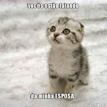 voc�s est�o falando da minha ESPOSA...