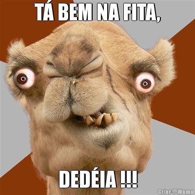 T� BEM NA FITA, DED�IA !!!