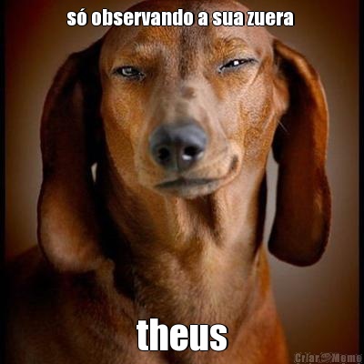 s� observando a sua zuera  theus