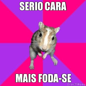 SERIO CARA MAIS FODA-SE