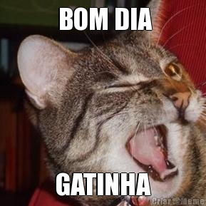  BOM DIA GATINHA