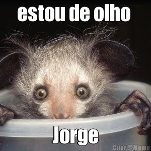 estou de olho  Jorge