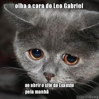 olha a cara do Leo Gabriel  ao abrir o site da Exausto
pela manh�