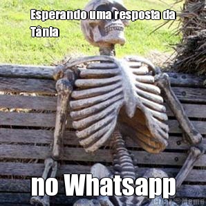 Esperando uma resposta da
T�nia no Whatsapp