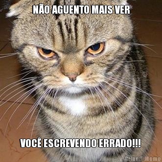 N�O AGUENTO MAIS VER VOC� ESCREVENDO ERRADO!!!