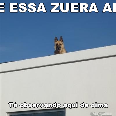 E ESSA ZUERA AE T� observando aqui de cima