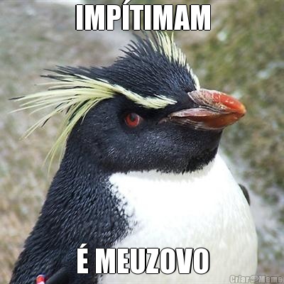 IMP�TIMAM � MEUZOVO