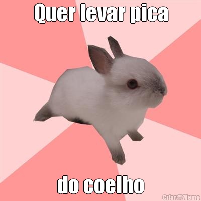 Quer levar pica do coelho