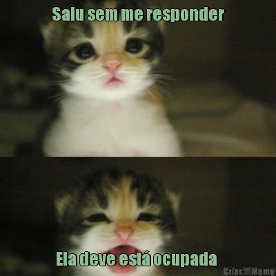 Saiu sem me responder Ela deve est� ocupada 