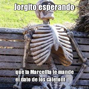 Jorgito esperando que la Marcelita le mande
el dato de los calefont