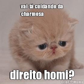 val  t� cuidando da
charmosa direito homi?