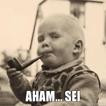  AHAM... SEI