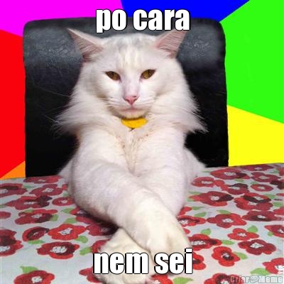 po cara nem sei