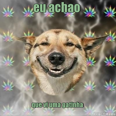 eu achao  que vi uma gatinha 