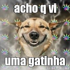 acho q vi uma gatinha