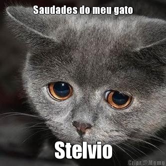Saudades do meu gato Stelvio