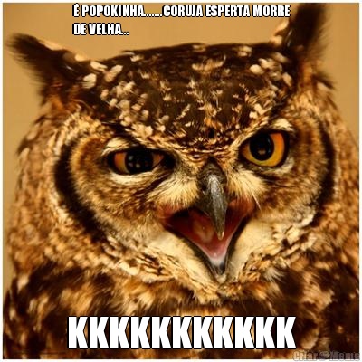 � POPOKINHA.......CORUJA ESPERTA MORRE
DE VELHA... KKKKKKKKKKK
