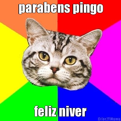 parabens pingo feliz niver