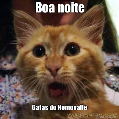 Boa noite Gatas do Hemovalle