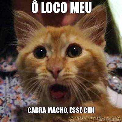 � LOCO MEU CABRA MACHO, ESSE CID!