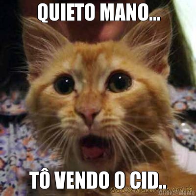 QUIETO MANO... T� VENDO O CID..