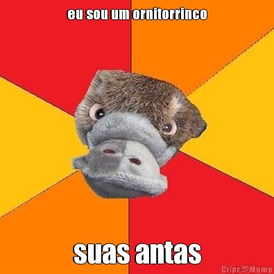 eu sou um ornitorrinco suas antas
