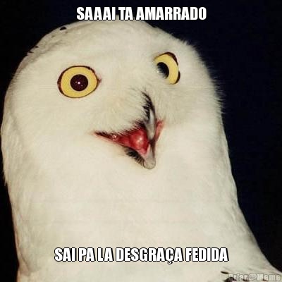 SAAAI TA AMARRADO SAI PA LA DESGRA�A FEDIDA