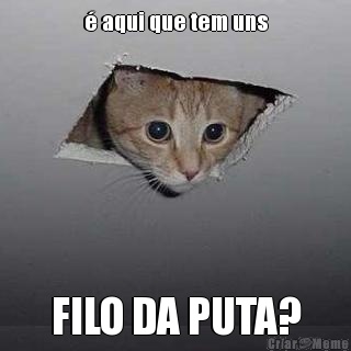 � aqui que tem uns FILO DA PUTA?