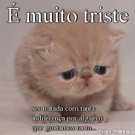 � muito triste ser tratada com tanta
indiferen�a por algu�m
que gostamos tanto...