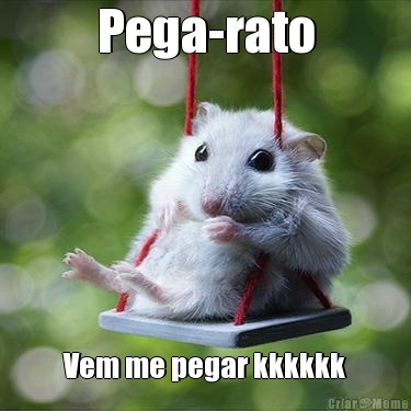Pega-rato Vem me pegar kkkkkk