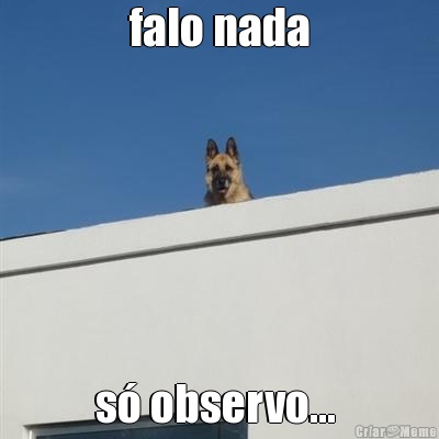 falo nada s� observo... 