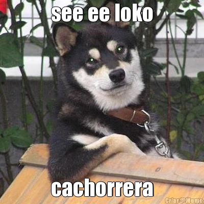 see ee loko cachorrera
