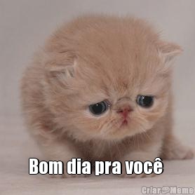  Bom dia pra voc� 
