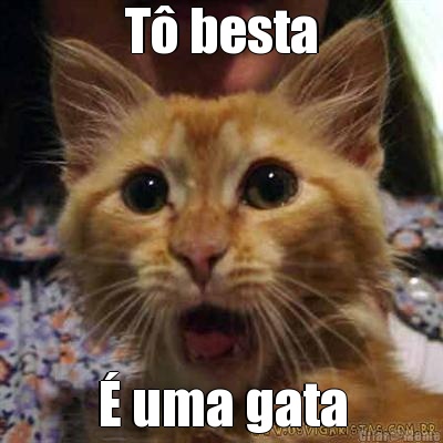 T� besta � uma gata