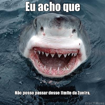 Eu acho que N�o posso passar desse limite da Zueira.