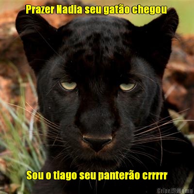 Prazer Nadia seu gat�o chegou  Sou o tiago seu panter�o crrrrr