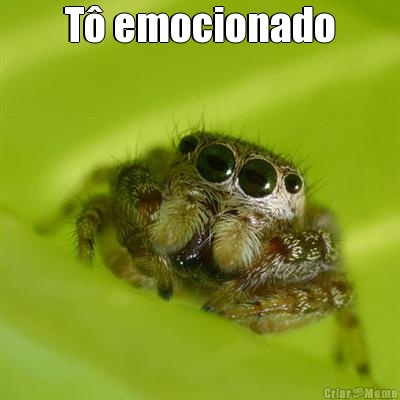 T� emocionado 