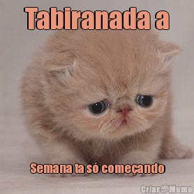 Tabiranada a Semana ta s� come�ando