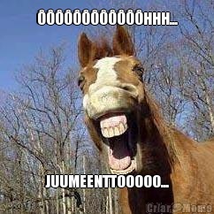 ������������HHH... JUUMEENTTOOOOO...