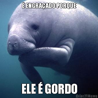 � ENGRA�ADO PORQUE ELE � GORDO