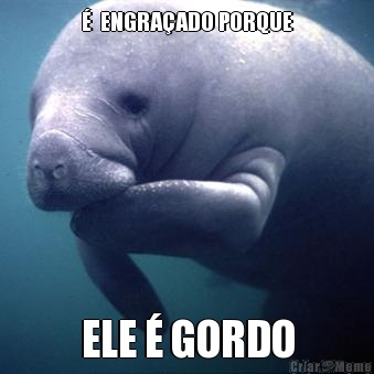 �  ENGRA�ADO PORQUE ELE � GORDO