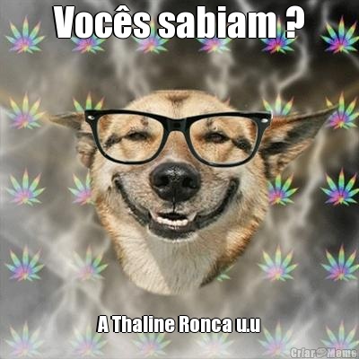 Voc�s sabiam ? A Thaline Ronca u.u