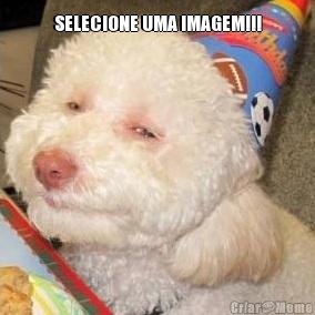 SELECIONE UMA IMAGEM!!! 