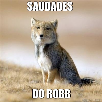 SAUDADES  DO ROBB