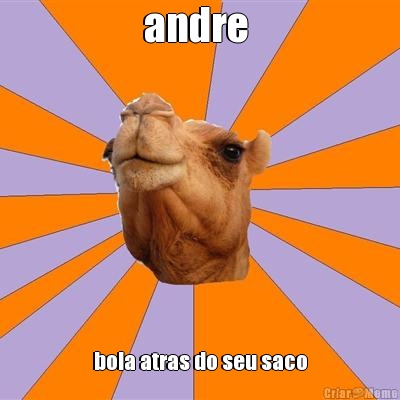 andre  bola atras do seu saco